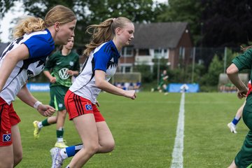 Bild 207 - wBJ HSV Leistungsvergleich